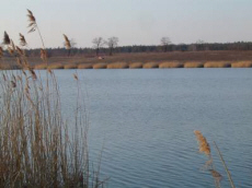 EURO 2012 POD BRZOZAMI hotel restauracja w Sk�rzewie